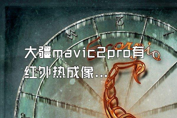 大疆mavic2pro有红外热成像模式