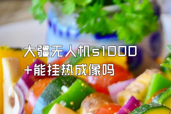 大疆无人机s1000+能挂热成像吗