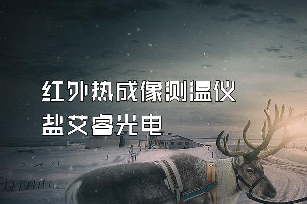 红外热成像测温仪 盐艾睿光电