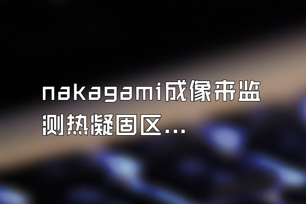 nakagami成像来监测热凝固区的原理