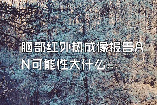 脑部红外热成像报告AN可能性大什么意思