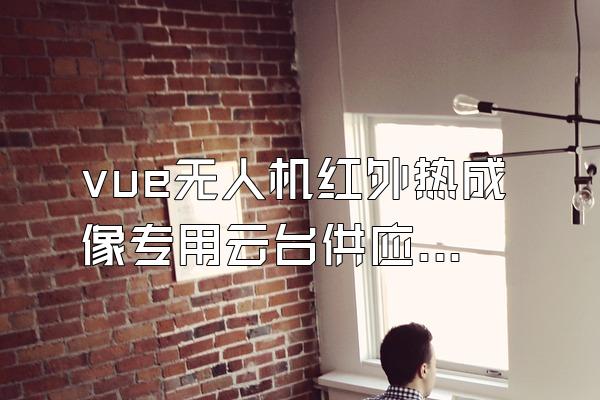 vue无人机红外热成像专用云台供应商