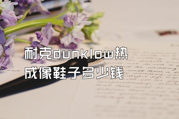 耐克dunklow热成像鞋子多少钱