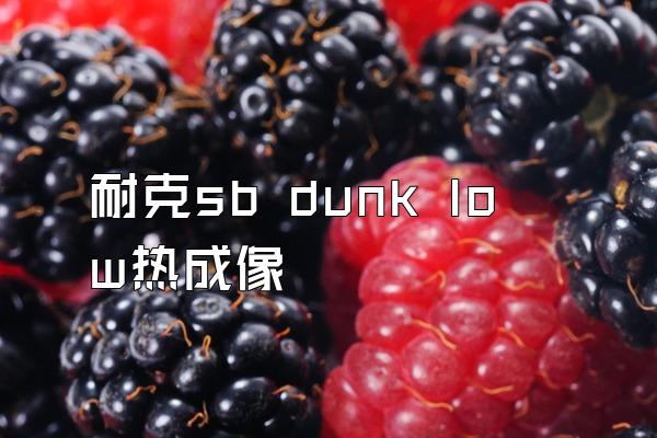 耐克sb dunk low热成像