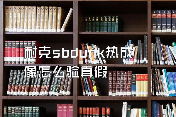耐克sbdunk热成像怎么验真假