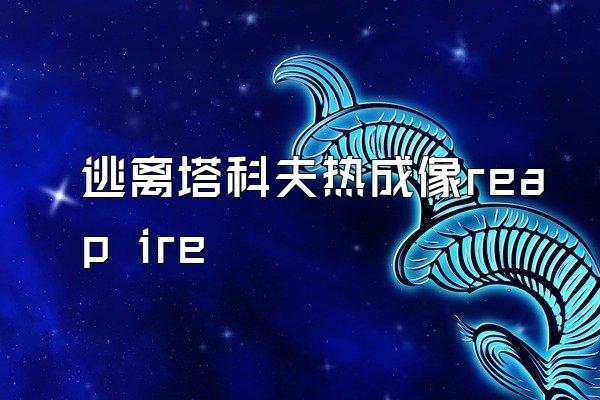 逃离塔科夫热成像reap ire