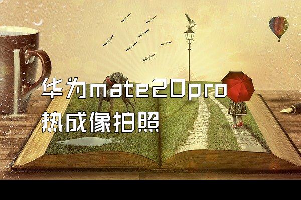 华为mate20pro热成像拍照
