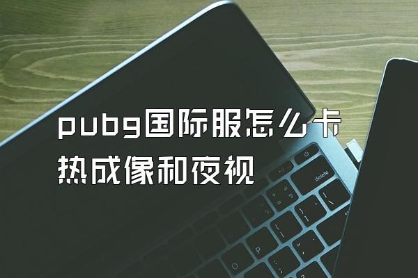 pubg国际服怎么卡热成像和夜视