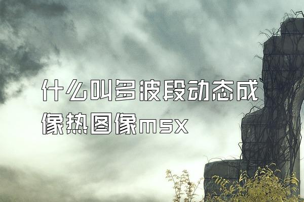 什么叫多波段动态成像热图像msx