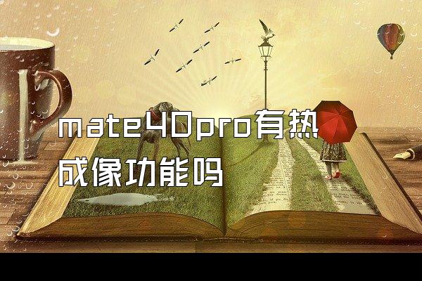mate40pro有热成像功能吗