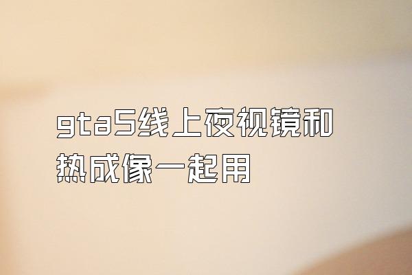 gta5线上夜视镜和热成像一起用