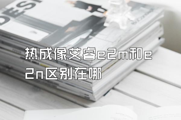 热成像艾睿e2m和e2n区别在哪