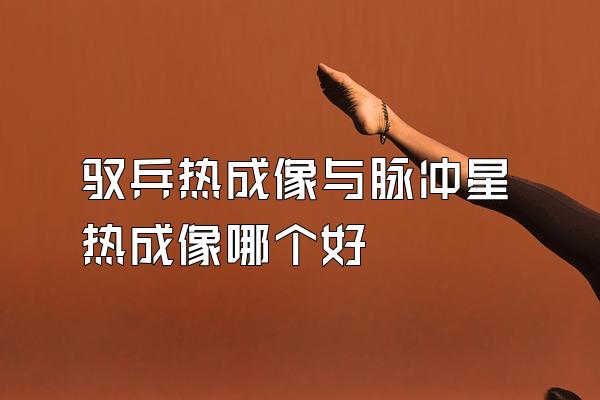 驭兵热成像与脉冲星热成像哪个好