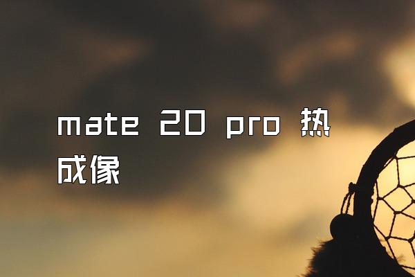 mate 20 pro 热成像