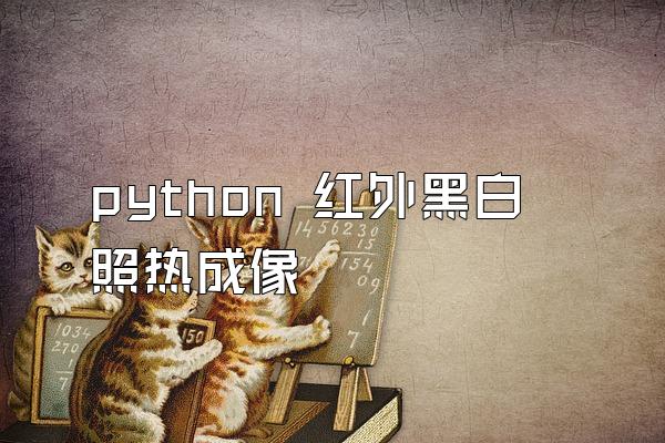 python 红外黑白照热成像