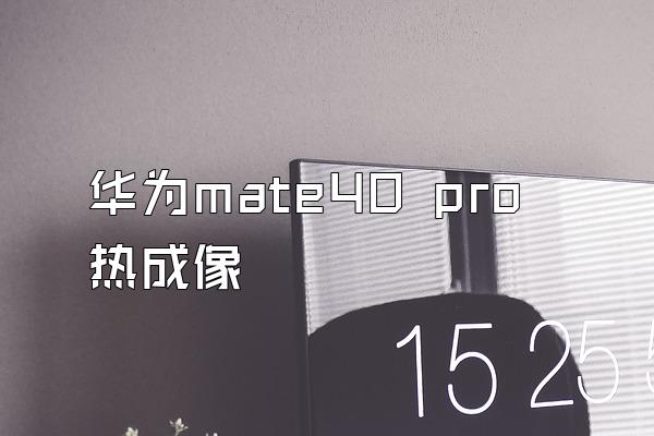 华为mate40 pro热成像