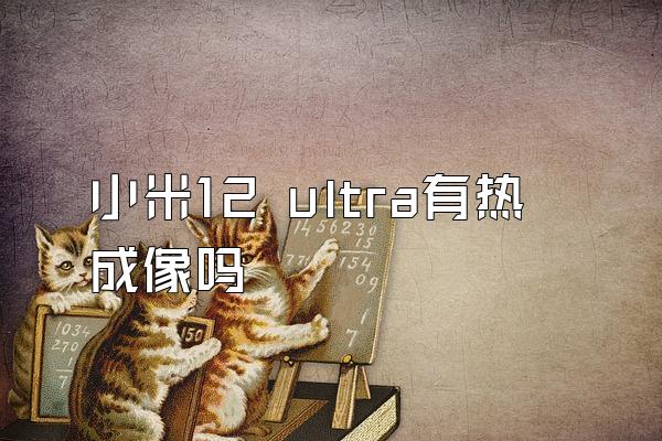 小米12 ultra有热成像吗