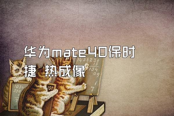 华为mate40保时捷 热成像