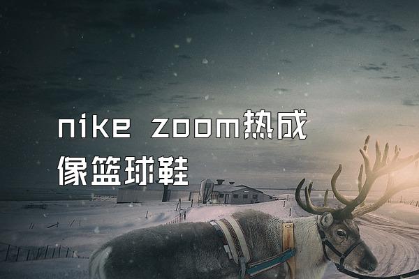 nike zoom热成像篮球鞋