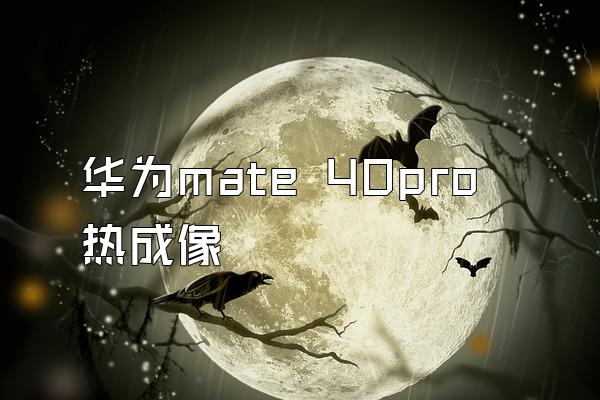 华为mate 40pro热成像