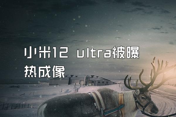 小米12 ultra被曝热成像