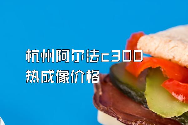 杭州阿尔法c300 热成像价格
