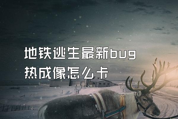 地铁逃生最新bug热成像怎么卡