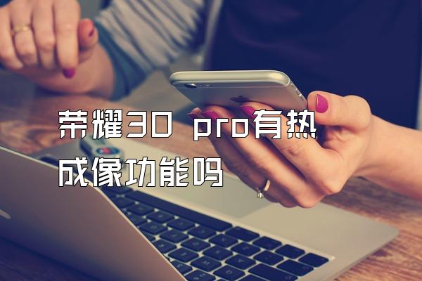 荣耀30 pro有热成像功能吗
